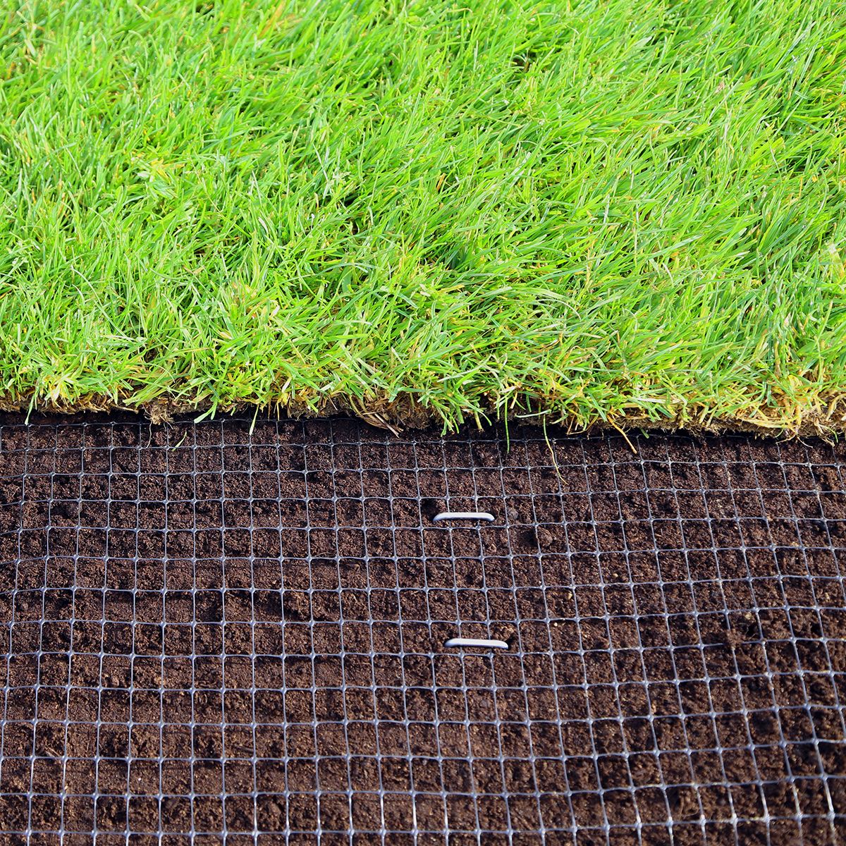 GROWtect Mole Mesh Netting PP x400cm