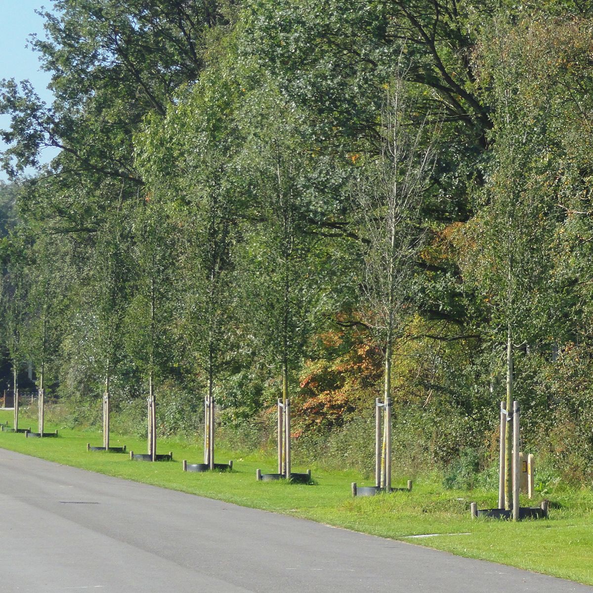 Recycling Irrigation Barrier