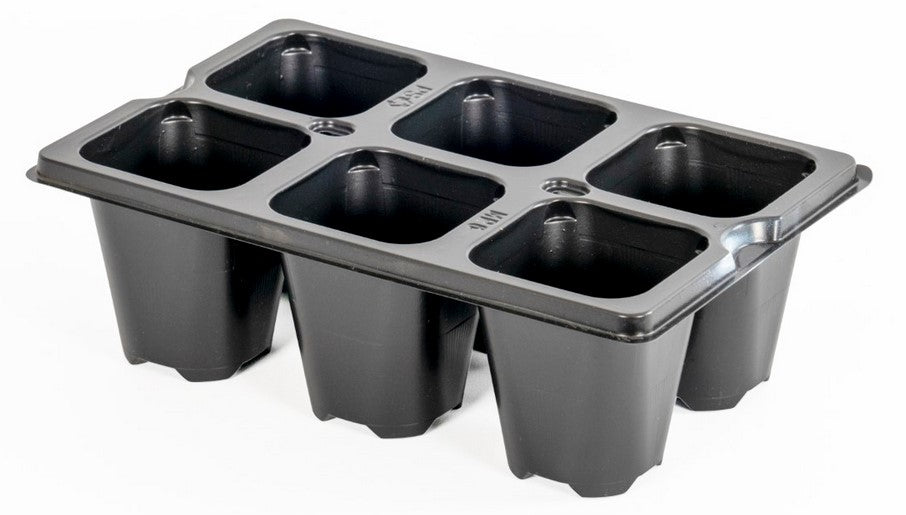 Herku 6 Pack