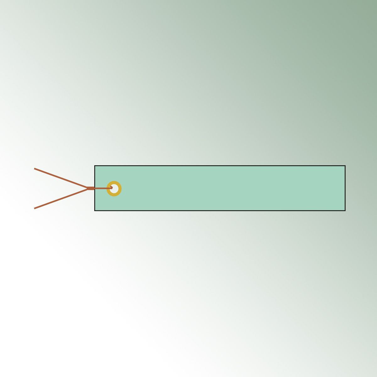 Hanging Labels 10x1,8cm green, unprinted No./pack = 250 pieces