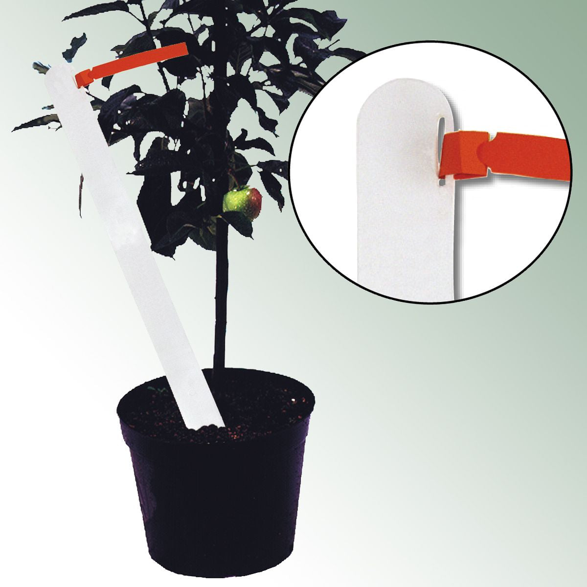 Stake Labels 49.5x3.0x0.25cm Made from Plastic No./pack = 50 pieces