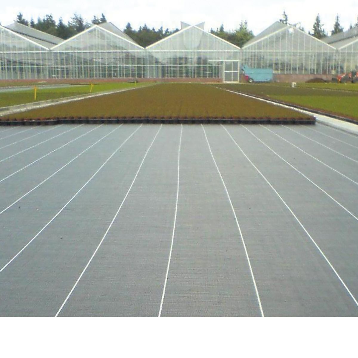 PPX Groundcover 200gm/m2 width 10.25m