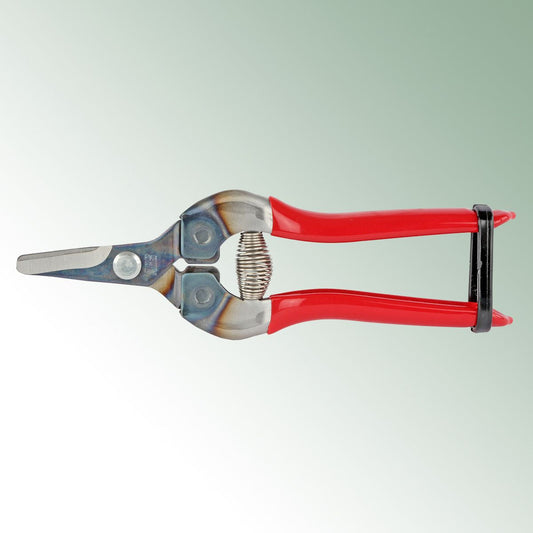 Cutting Shears 300 SS Fruit Shears Length 17 cm