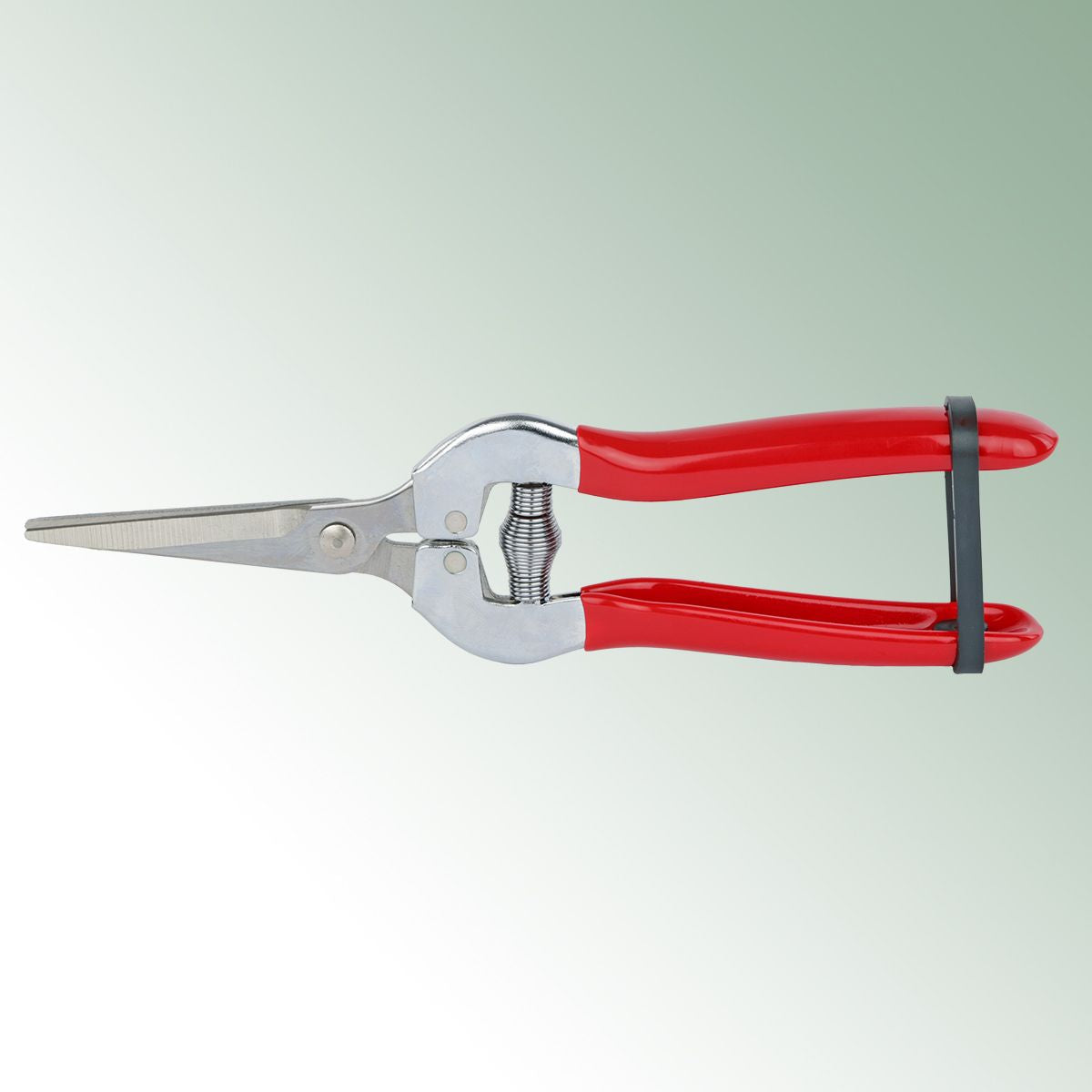 Cutting Shears 500 L stainless / Fruit Shears Length 19 cm