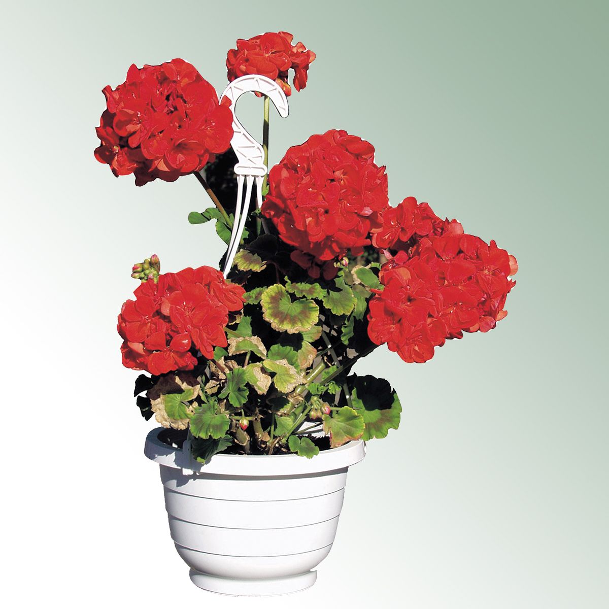 Hanging Basket KOMET 23 cm water reservoir / white box = 100 pieces