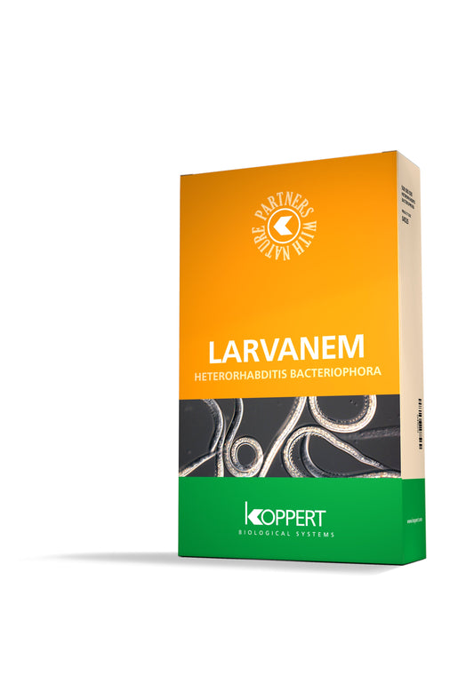 Larvanem x 500 Million Heterorhabditis bacteriophora