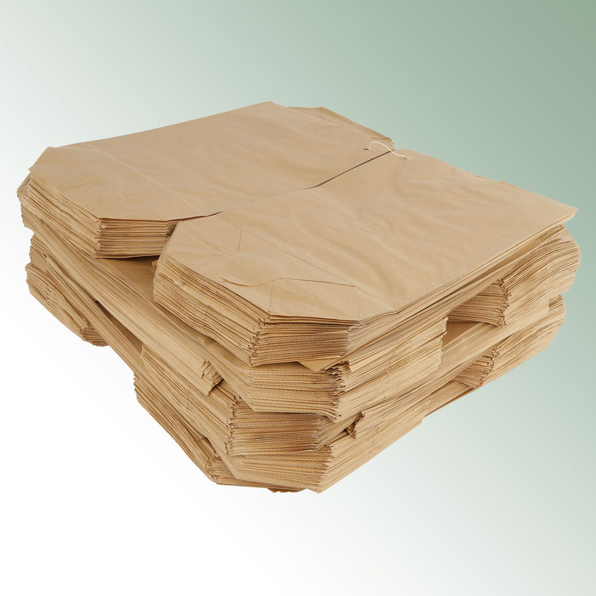 Paper Bag 22.5 x37cm