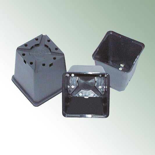 Goettinger 8 x 8 x 8,5 cm