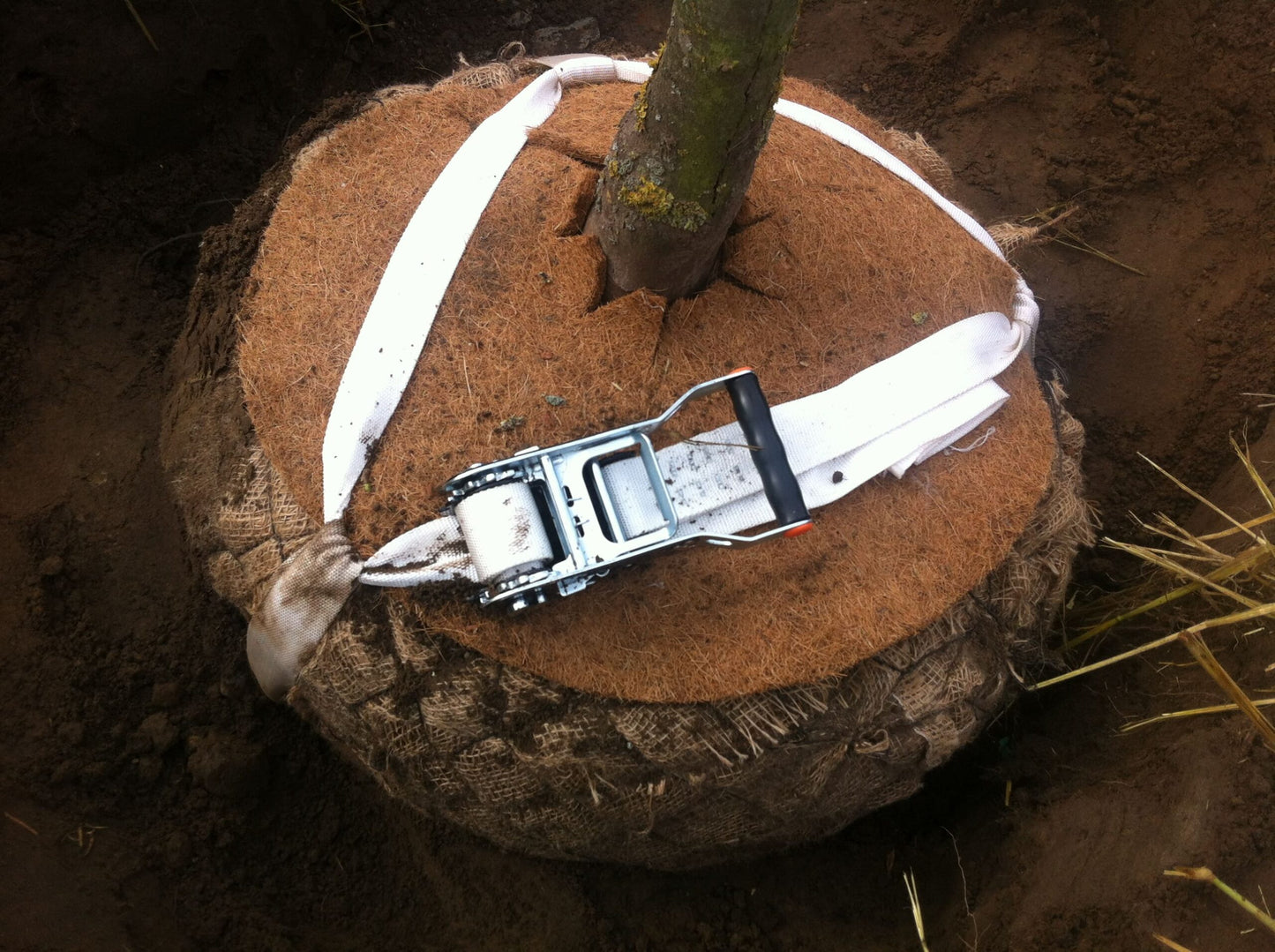 GEFA TREELOCK® Root Ball Anchoring | Tree Anchoring Systems