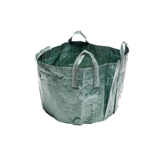 Treeplanta Container Bags 77 litre LxH 53x35cm, pack = 100 pieces, 2 handles