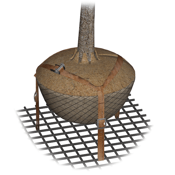 GEFA TREELOCK® Root Ball Anchoring | Tree Anchoring Systems
