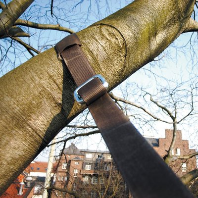 GEFA Webbing Belt Systems | Tree Crown Bracing