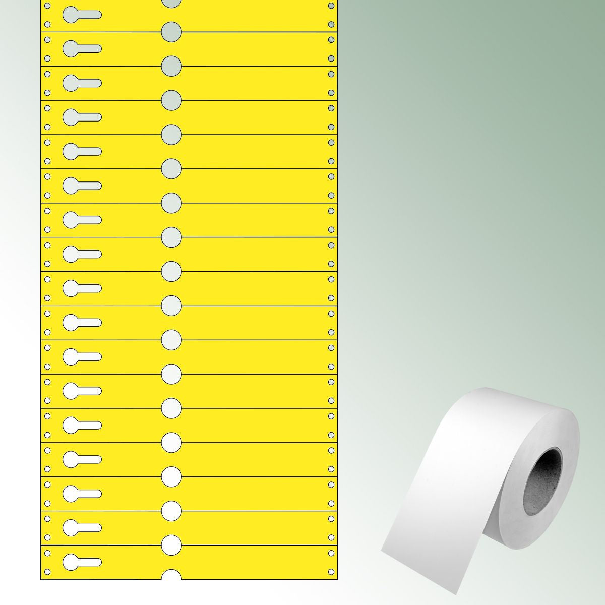 Loop Labels 220x25,50mm yellow, unprinted standard box = 2.500 pieces