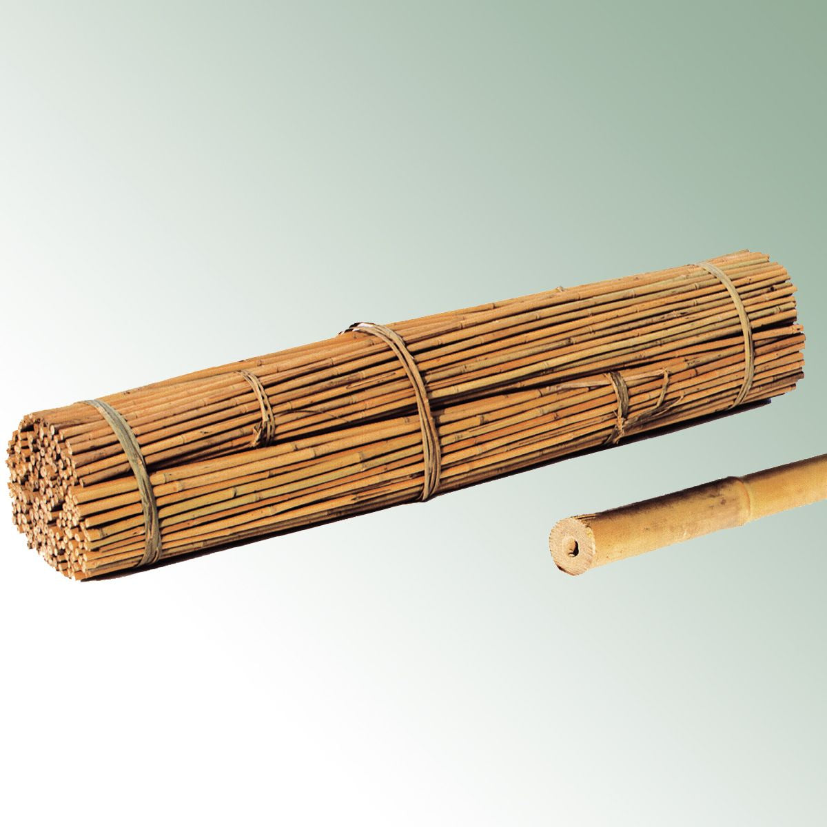 bamboo canes 183cm/15-17 - 6 Bale = 100 units