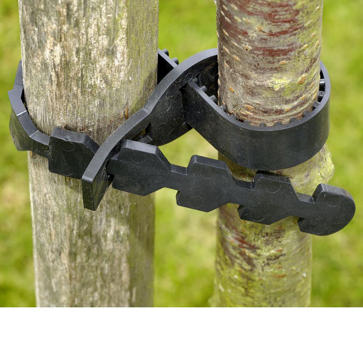 supersoft tree ties, black length = 600 mm, width = 22 mm box = 100 pi ...