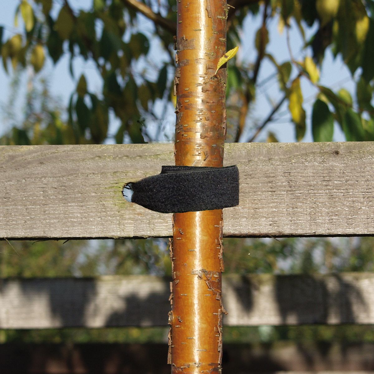 Velcro Tree Strap, black width 30 mm / roll 25 m – PG Horticulture Ltd