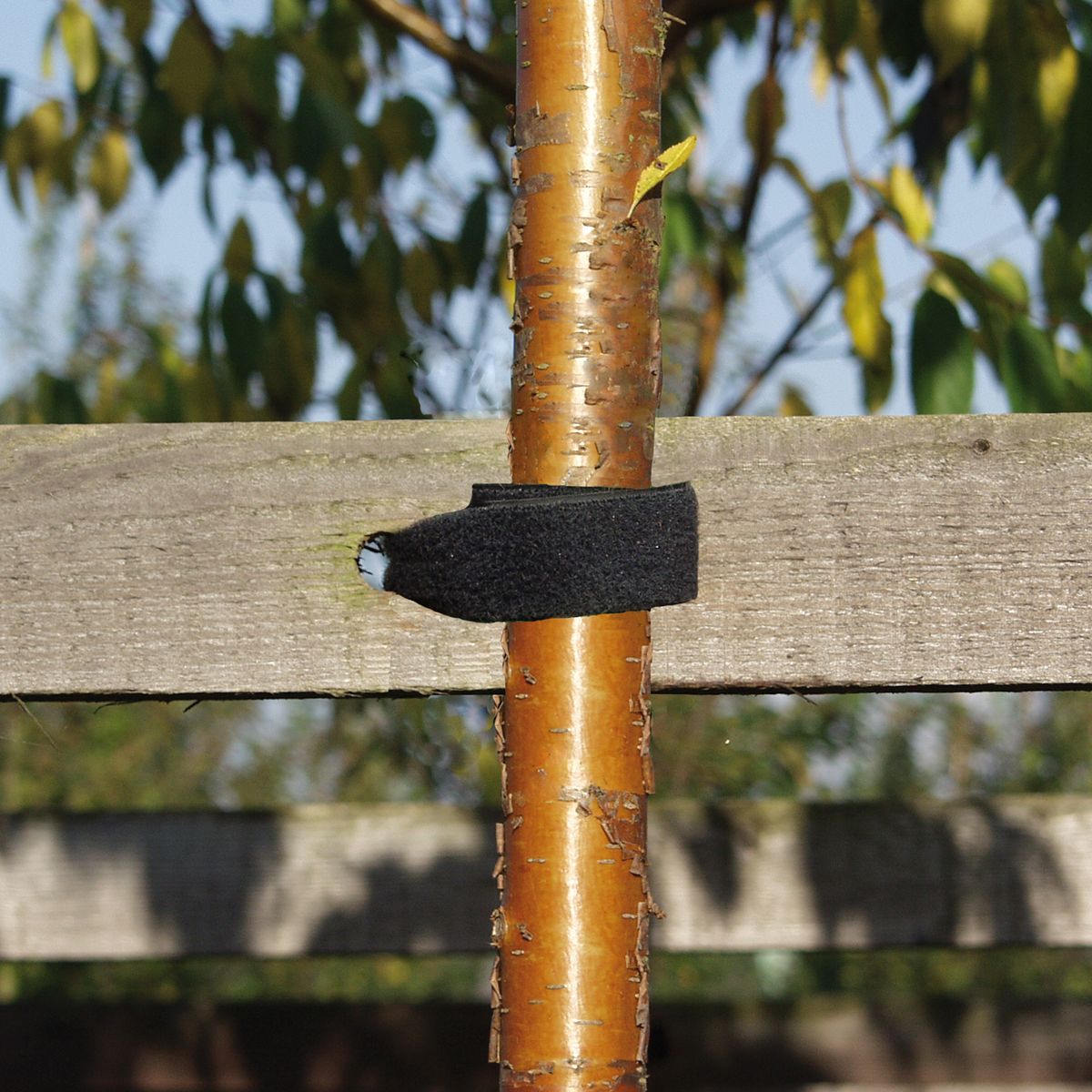 Velcro Tree Strap, black width 30 mm / roll 25 m