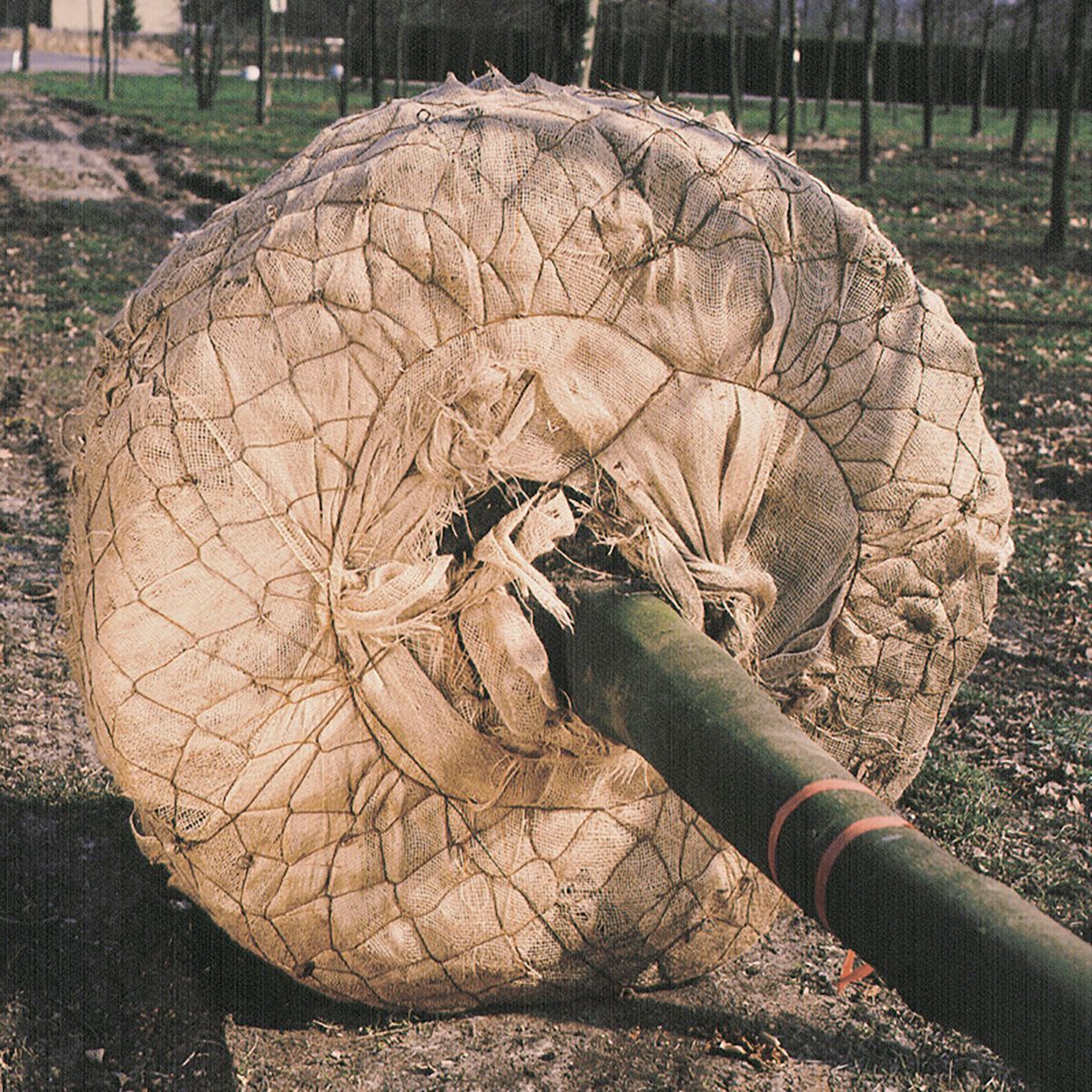 Wire Basket-Classic size 6 diameter 110 cm / box 15 pcs