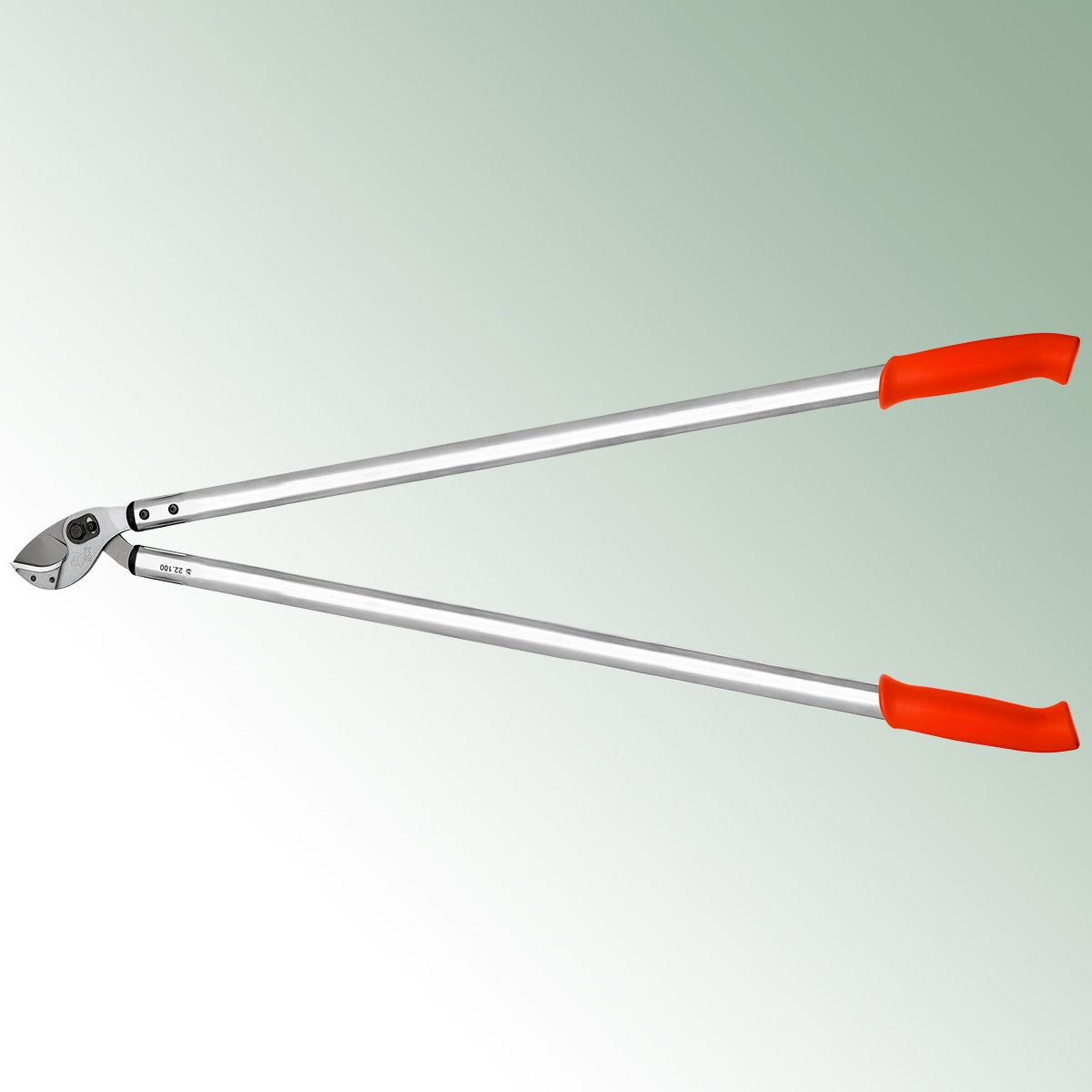 Loewe Loppers 22 100 cm with Curved Blade