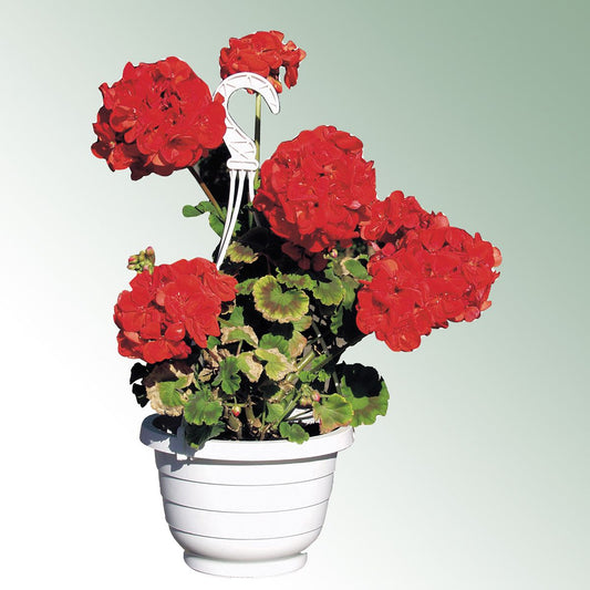 Hanging Basket KOMET 30 cm water reservoir / white box = 38 pieces